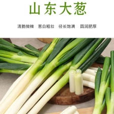 山东铁杆大葱 产地直发 货源充足 价格美丽，欢迎来电咨询