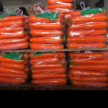 三红胡萝卜红罗萝卜，水洗3两以上 20厘米以上，冷库大量