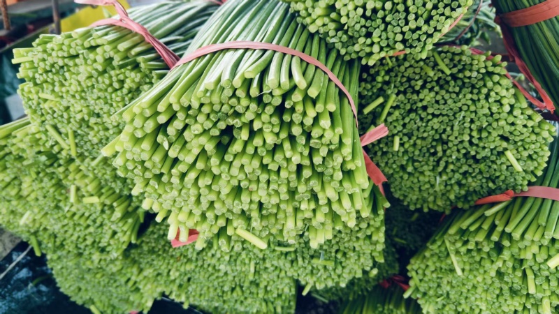 梁山致诚韭菜苔韮苔货站 产地直销 货源充足 欢迎咨询采购