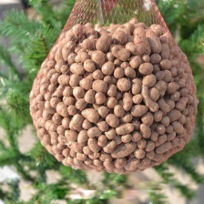 安平产地山药豆 小白嘴山药豆 货源充足供全国商超市场批发