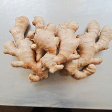 提供广西姜种上车价