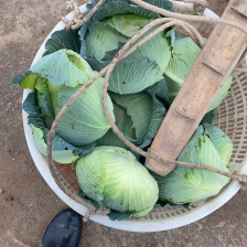 老彭代售农产品