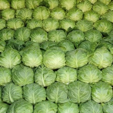 老彭代售农产品