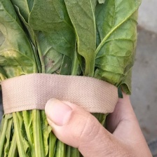 基地菠菜产地直发，支持全国发货，支持各种包装
