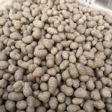 精品山药豆 25年新下新鲜精品电商加工厂批发。专用。