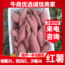 烟薯，红薯对接社区团购按需包装，电商