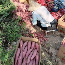 烟薯，红薯对接社区团购按需包装，电商一件代发