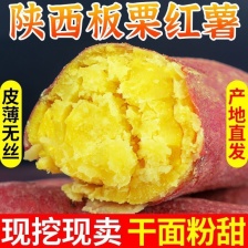 【烟薯25】地窖储藏，糖化发货，一烤就流蜜，每一根都香甜