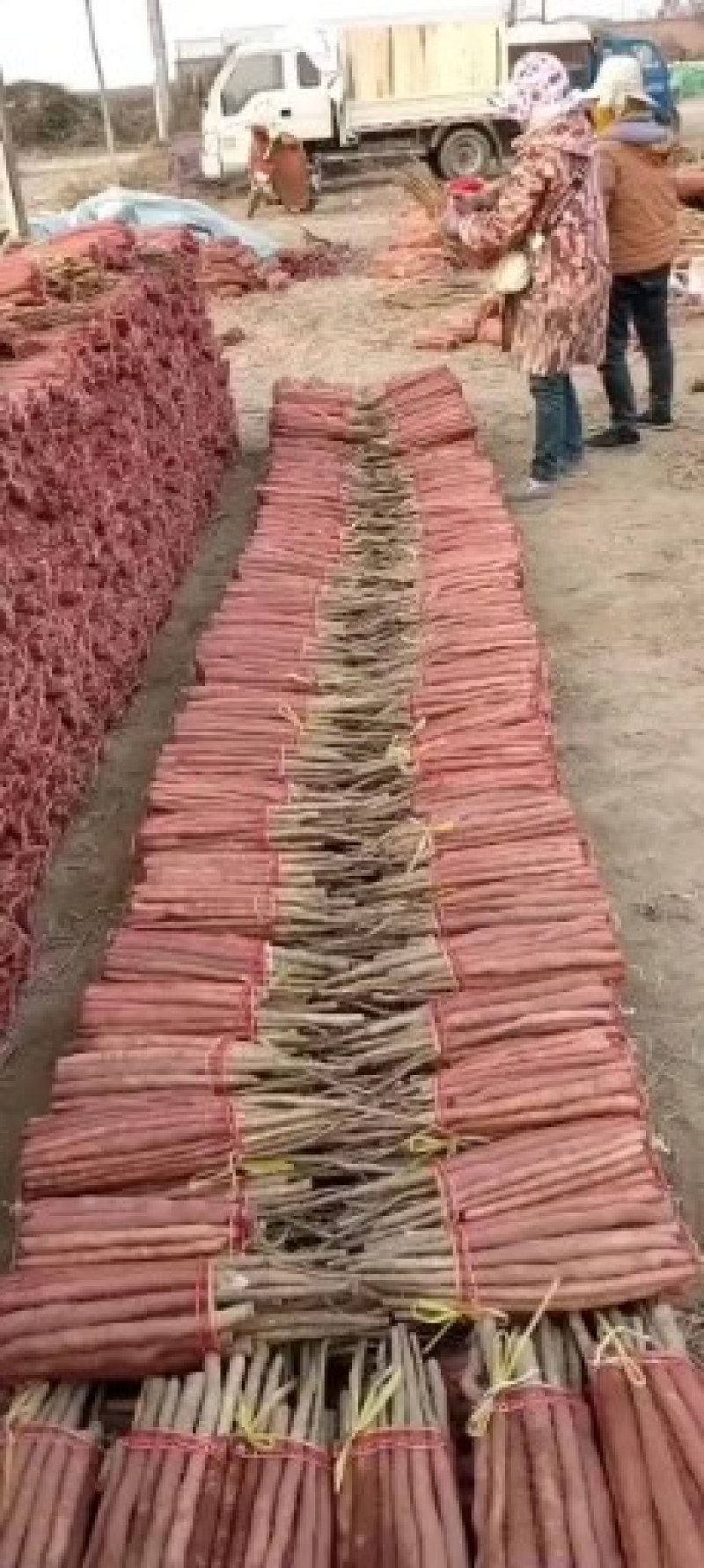 【<font color=red>山药</font>】四川铁棍<font color=red>山药</font> 口感软糯 一手