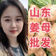 鲜姜新姜大量上市代收代存，自营大型冷