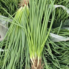 （珠三角 可送货上门）其他地区勿扰***********