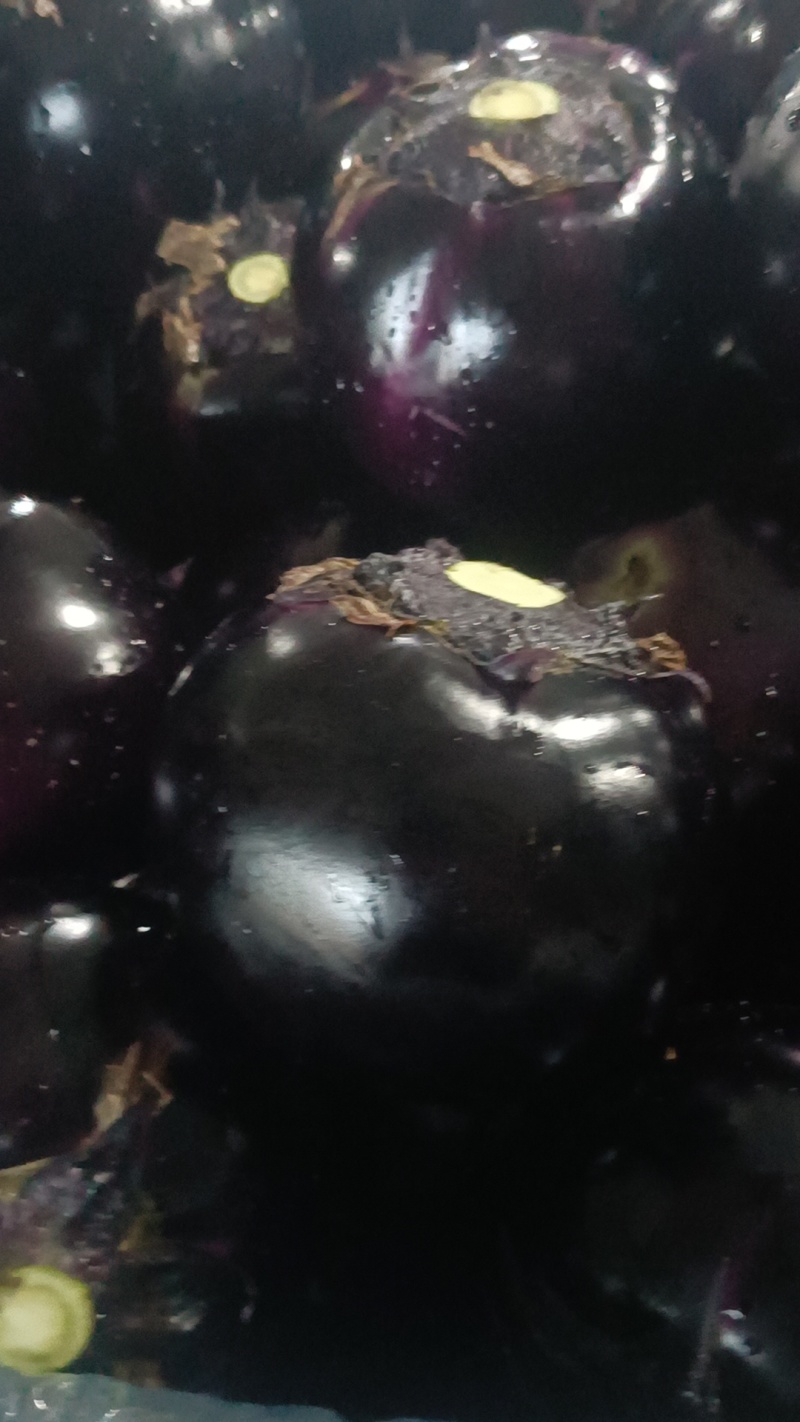 山东圆茄产地大量紫光圆茄大量供应电商团购市场档口货源充足