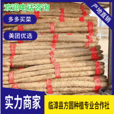 铁棍山药 临漳县 基地直供 电商 超市 市场 铁杆怀山药