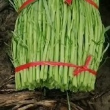 空心菜，有机植物，可以配货，按需分拣，支持线上交易