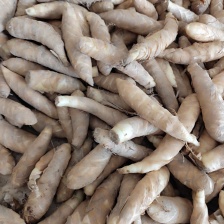 新鲜竹竽冬粉薯 产地直供，货美价实，售后无忧。