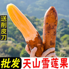 现货25年雪莲果一件代发巿场精品果批发社区团购供货