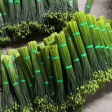 云南省石屏县蔬菜批发，代收