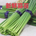 蒜苔 产地大量上市，量大从优，保质保量，支持视频看货发货