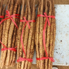 河南焦作山药/铁棍山药/量大价优/规格齐全/可视频看货