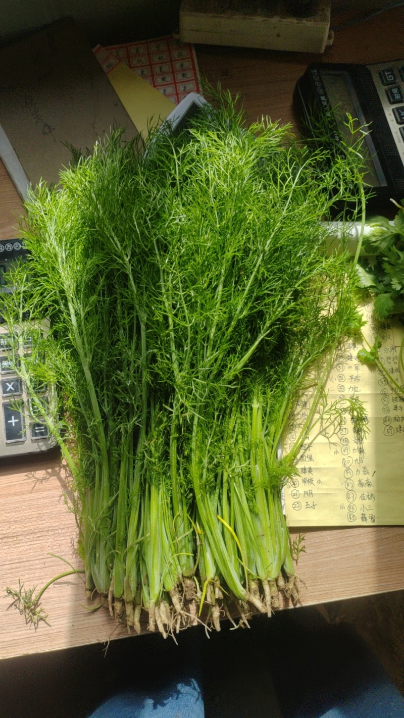 精品茴香     市场货    食堂货       电商