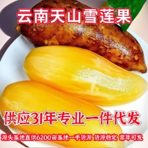 专业电商一件代发 全网可发 多种价格品质可以选择！