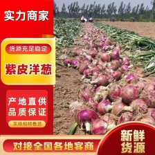 二红扁洋葱冷库货3-7厘米8-12厘米进出口贸易常年有货