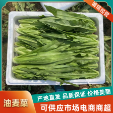 精品油麦，河北邯郸产区，货量充足，可视频看货