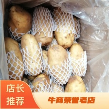 【实力热卖】山东荷兰十五<font color=red>土豆</font> 黄皮黄