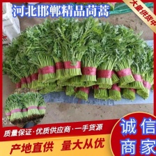 有机地标（枞阳）生态农业有限公司