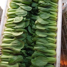 梁园区东文蔬菜门市部