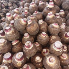 精品电商  市场接单中大量有货，可视频看货，量大优惠欢迎