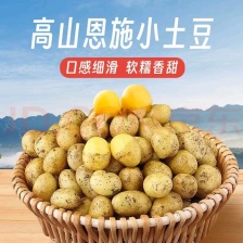 土豆丨黄心丨沃土V7贺兰土豆，产地直发丨支持电商超市