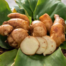 无硫足干沙姜，正宗阳春双滘无硫沙姜，可视频看货，诚信经营