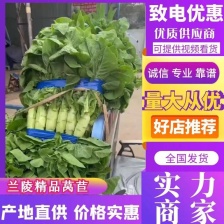 杆子，杆子杆子，杆子杆子，杆子杆子，杆子杆子