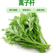 精品茼蒿 产地直发 对接电商商超食品厂 常年长期供应