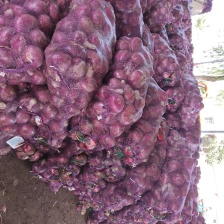 千亩新红洋葱，暴卖货，这段日子都在，排队装车中，发货全国