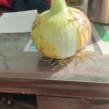 千亩新红洋葱，暴卖货，这段日子都在，排队装车中，发货全国