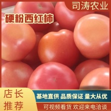 <font color=red>西红柿</font>  精品（市场） 番茄酱（加工