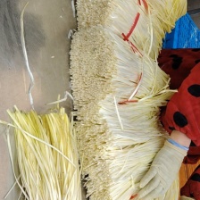 韭黄 头茬  40-50二茬水货，大量供应中！