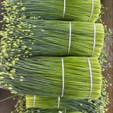 寿光韭苔，新鲜，嫩，质量好