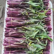 汉川灿林生鲜果蔬批发