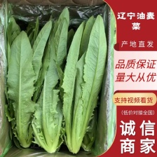 本地精品油麦大量上市需要的老板提前预订了