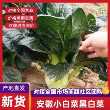 乌塌菜产地供应