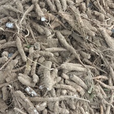 河南省安阳市内黄县嘛山药和铁棍大量上市欢迎来采购