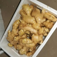 山东大黄姜 鲜姜 风干姜 一手货源 