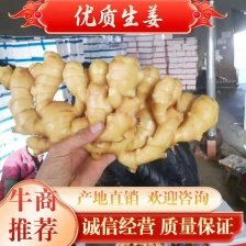 山东大黄姜 鲜姜 风干姜 一手货源 可视频看货 全国发货