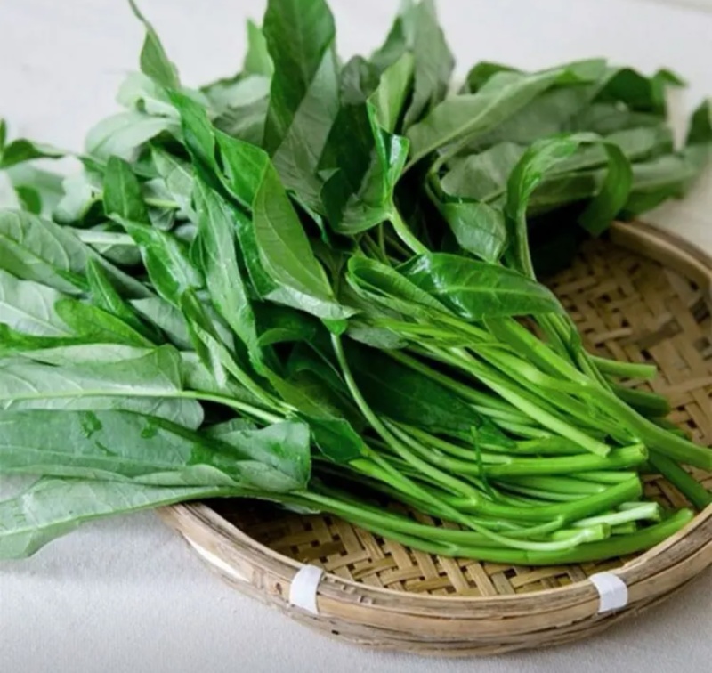河北邯郸空心菜 产地发货 质量保证 量大从优 对接全国