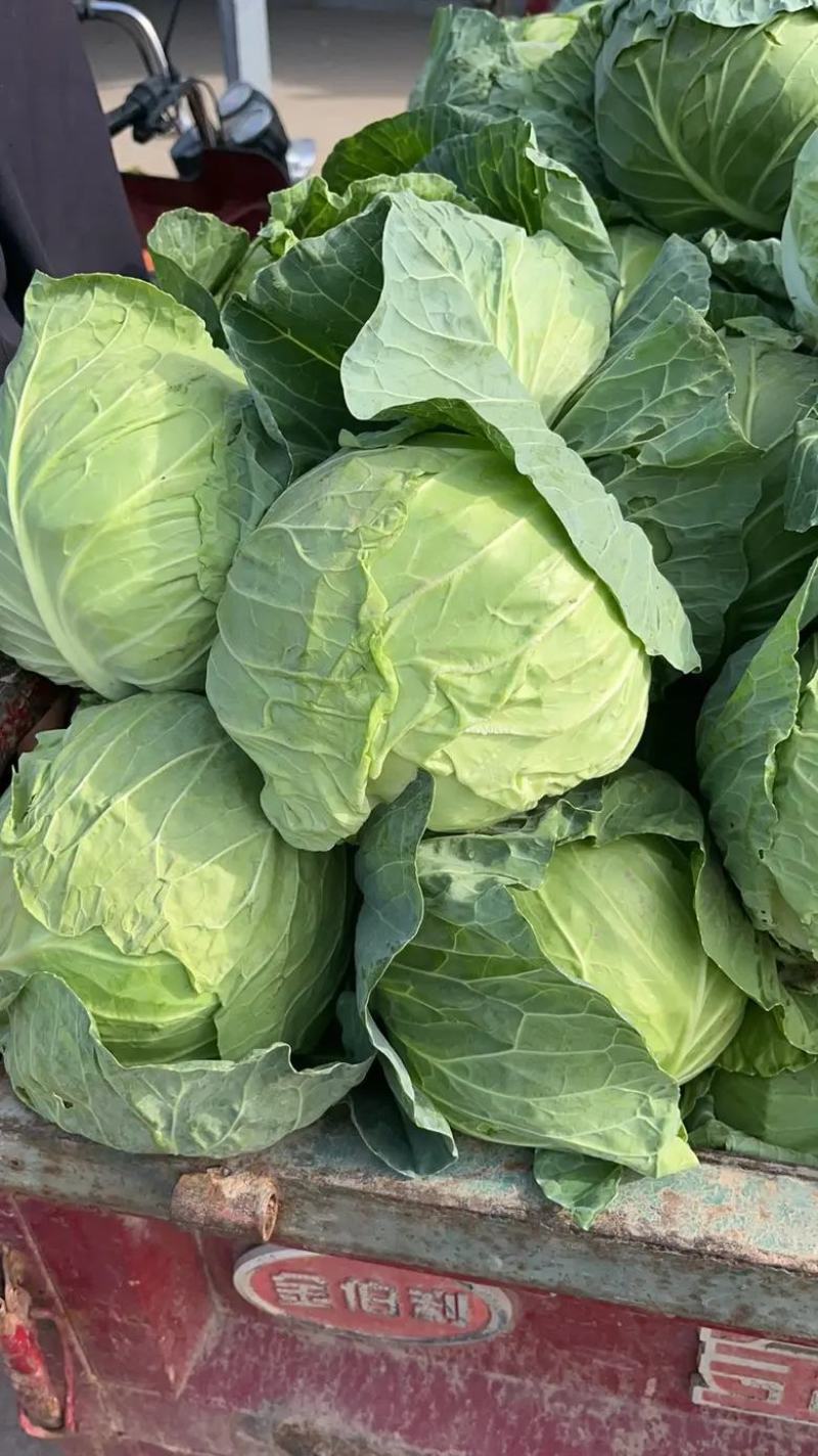 小王蔬菜产地代办