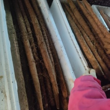 铁棍山药，白玉山药，小白嘴山药，双棒山药，麻山药，紫药，