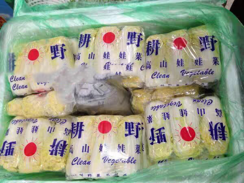 大娃娃菜  小娃娃菜 大白菜 产地看货论价 视频看货